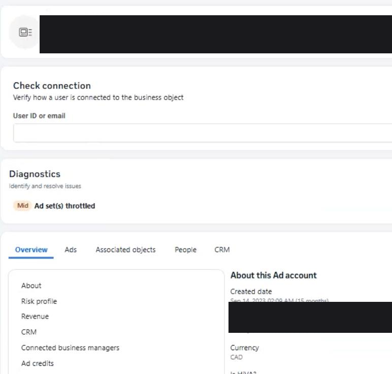 Meta partner back-end view of an ad account showing a risk profile, HIVA status and a diagnostics warning that ad sets are throttled